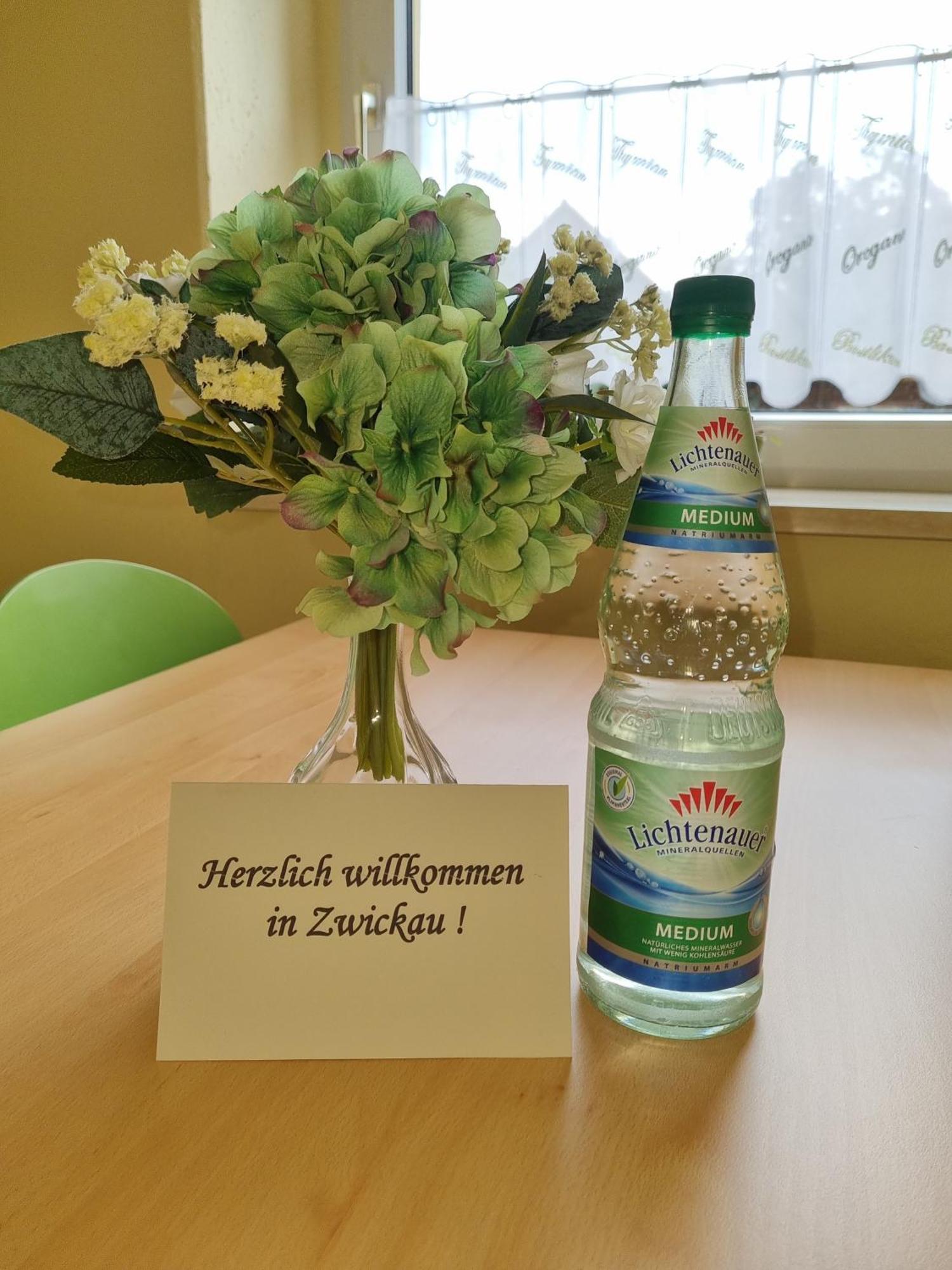 Ferienwohnung Im Zentrum Zwickaus Kültér fotó